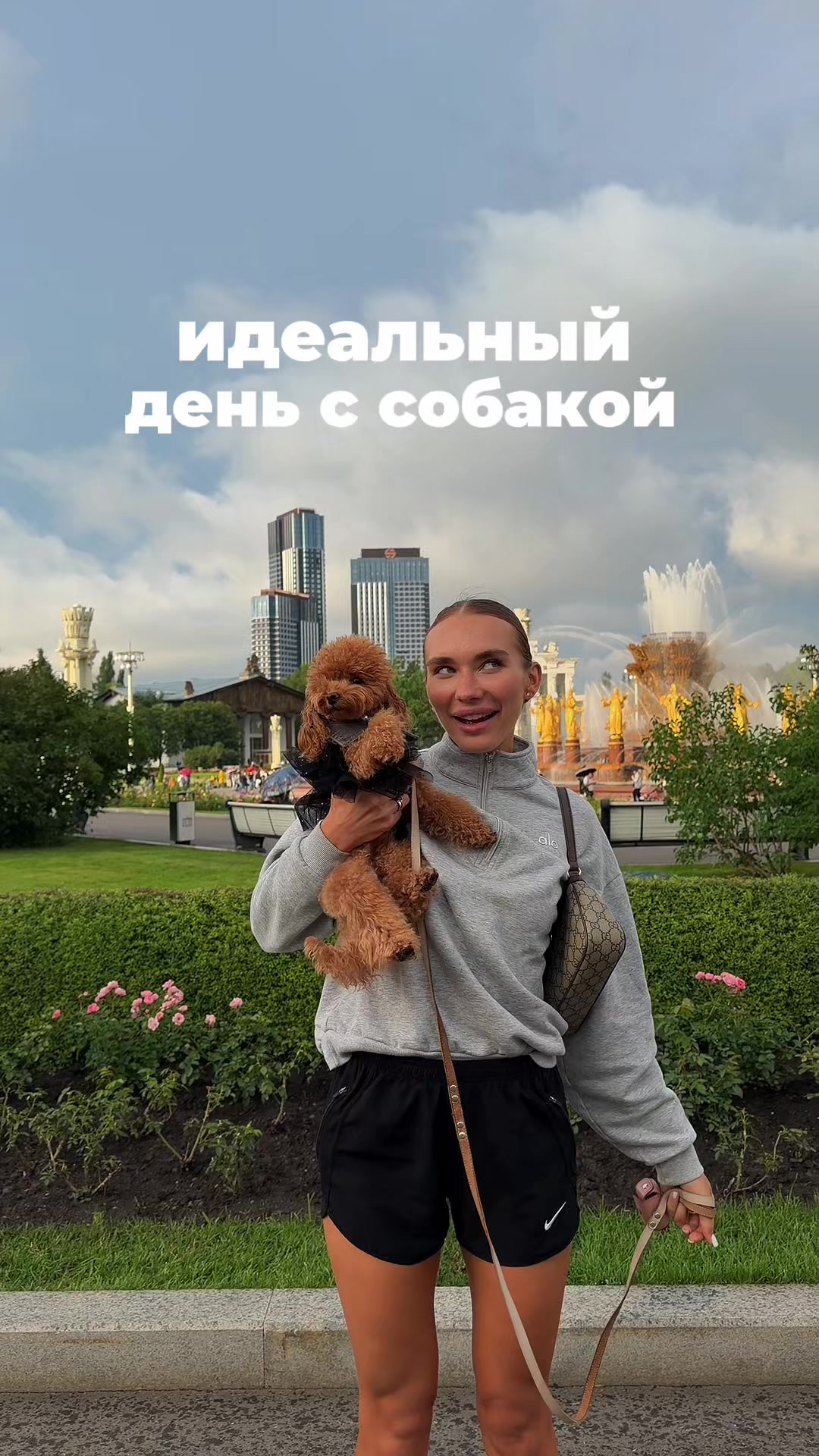 @beatrice_poodle