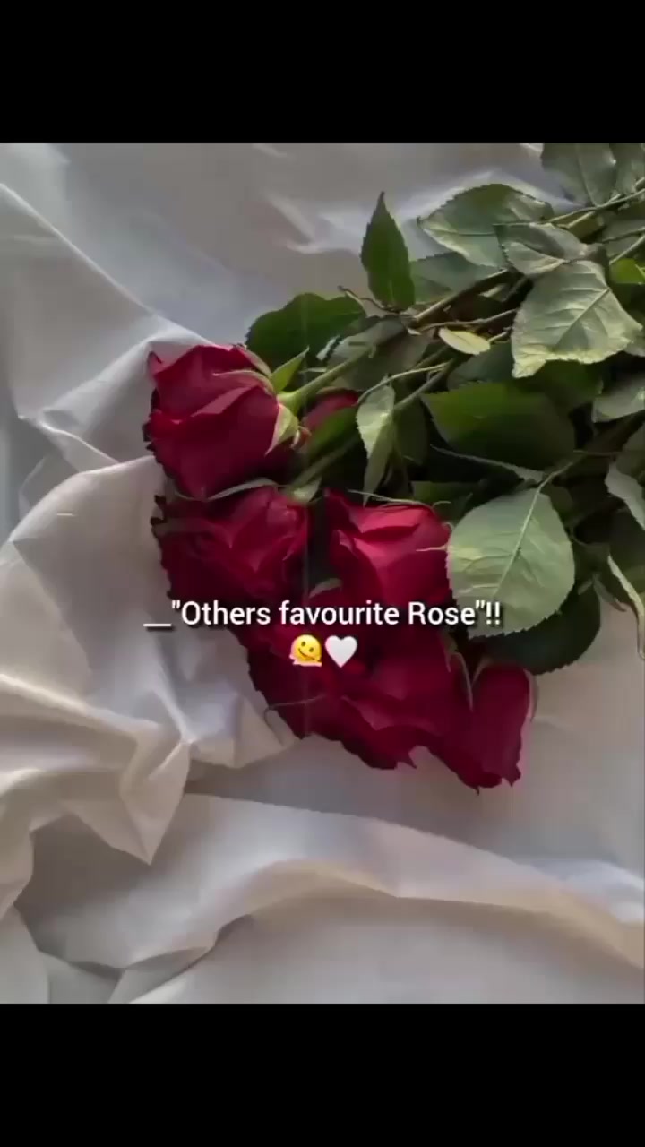 @༺☆༻♡︎ 𝓑𝓵𝓲𝓷𝓴 𝓩𝓲𝔂𝓪 ༺☆༻♡