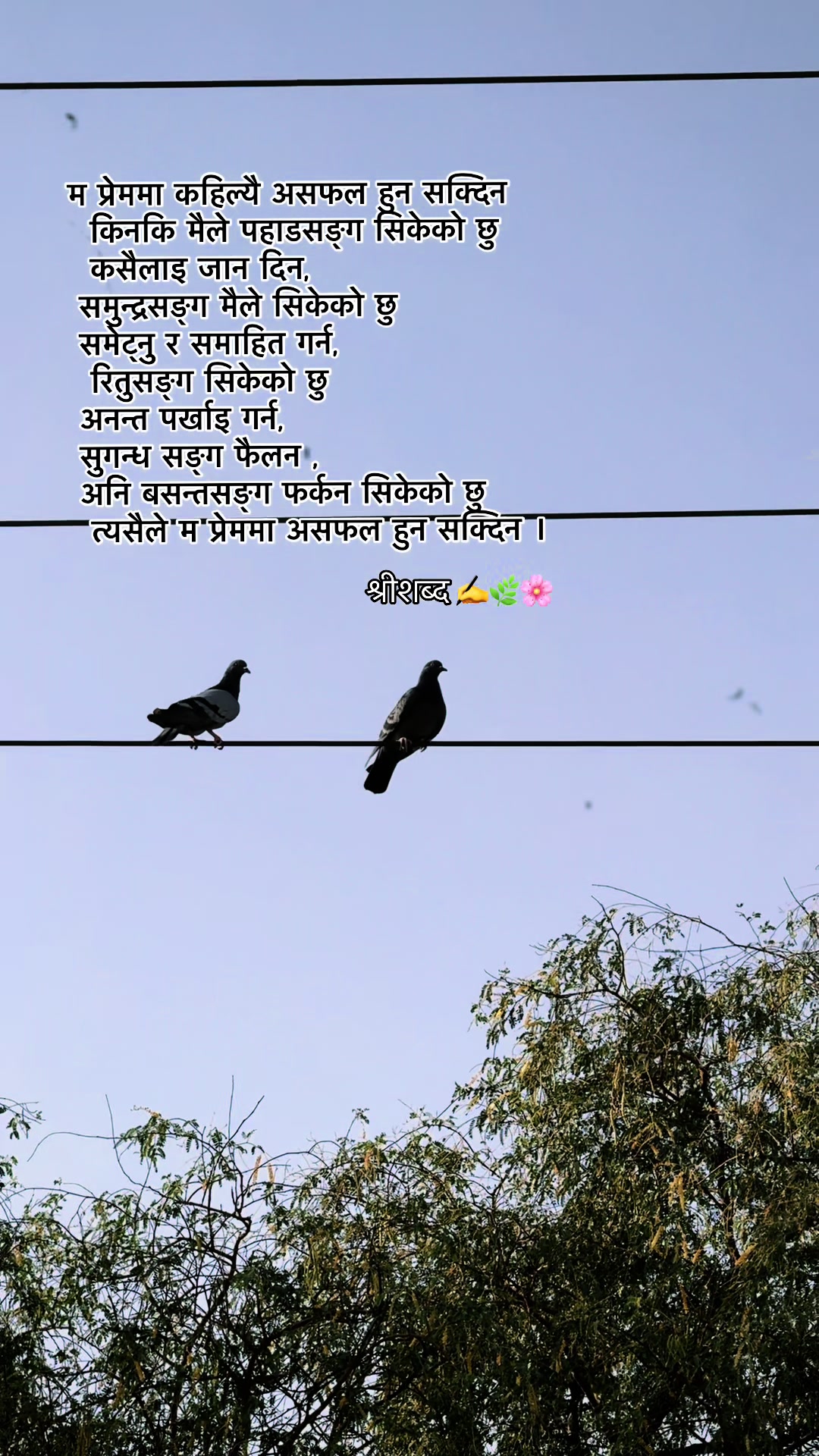 @🌿श्रीशब्द….✍️🕊️🍁🍂