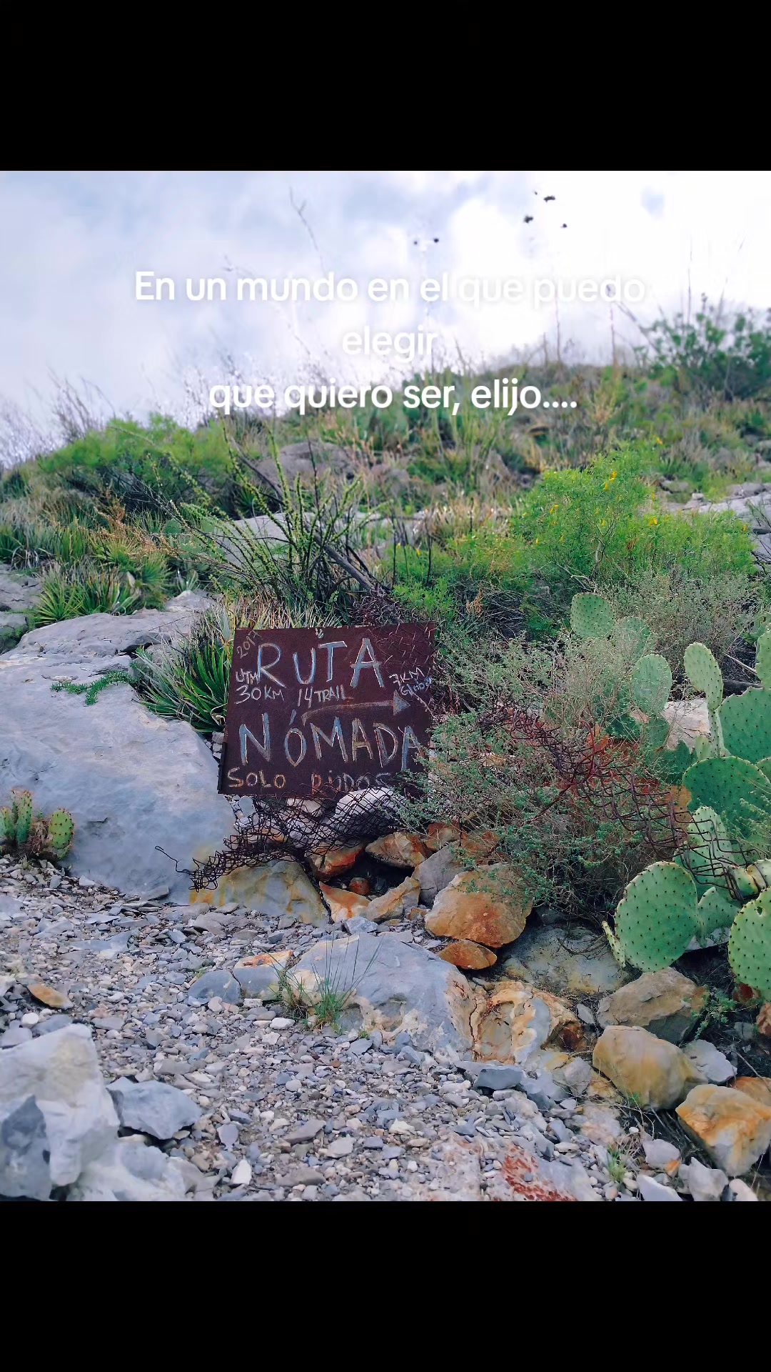 @Lulú Gómez Chapis