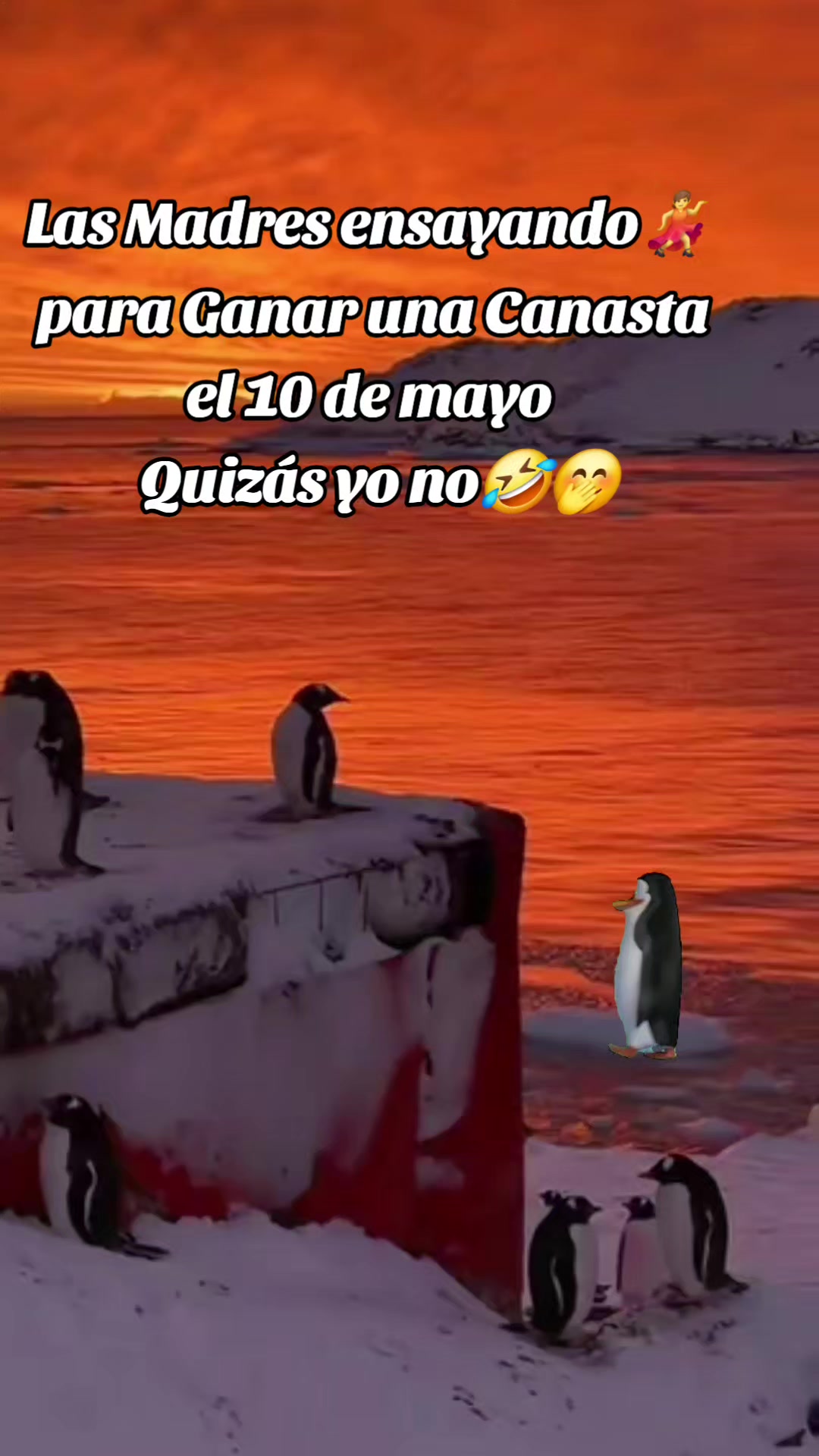 @Ana 💙♥️ Morales