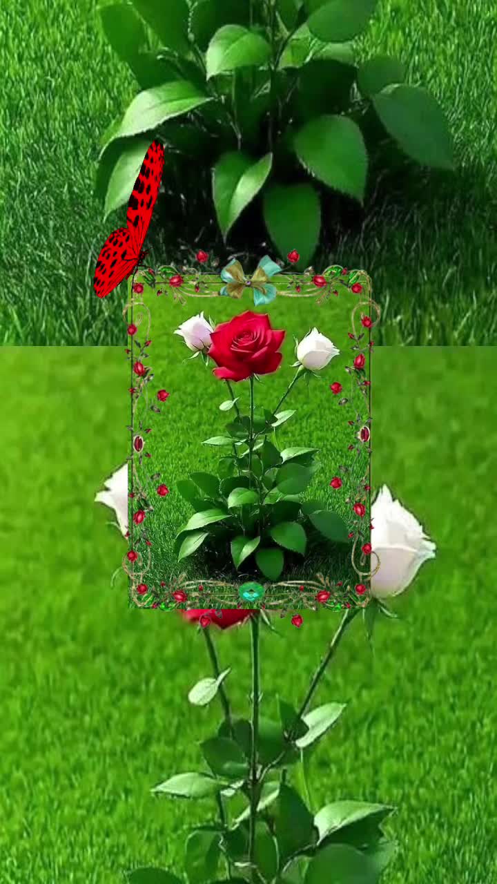 @Bharat Rai