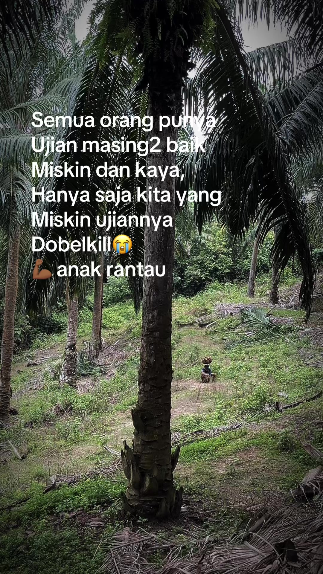 @Harry palm oil
