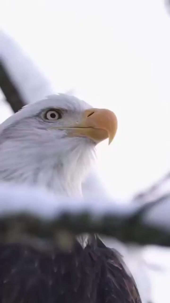 @🦅🦅🌞ANGEWL MOTIVADA🌞🦅🦅