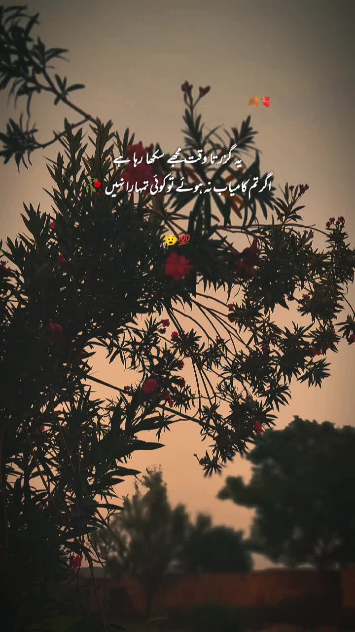 @AqibAwan