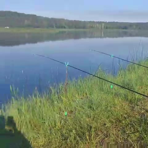 @МАТЬ ДРАКОНІВ🤣