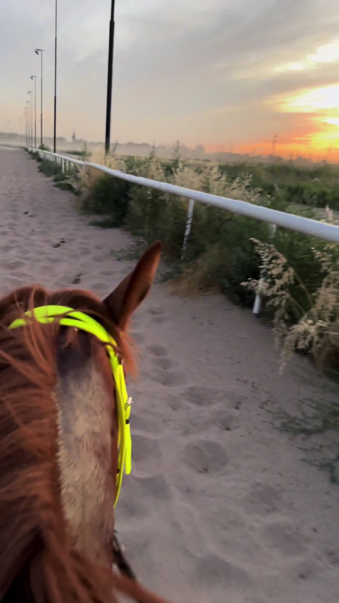 @🐎Ева🐎