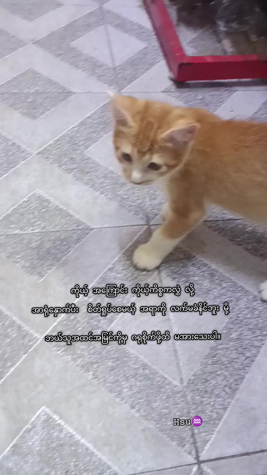 @โ๐ค๐ฆ โ๏ธโ