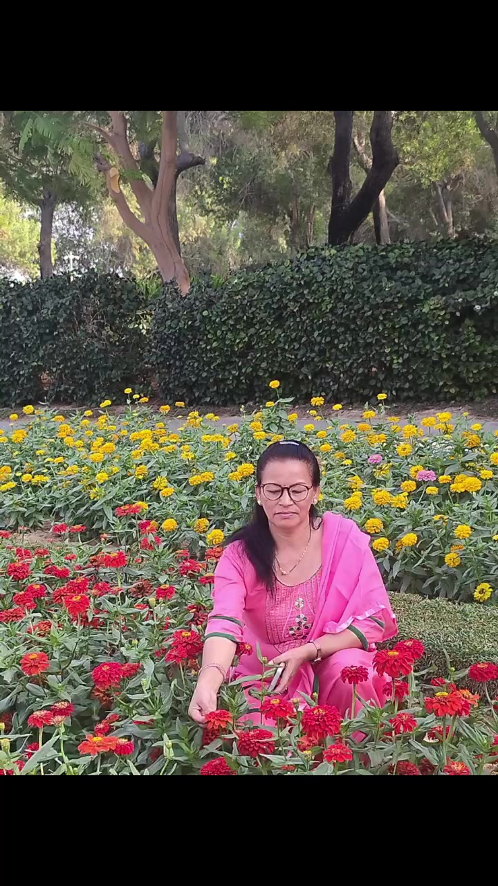 @Shanu Raut821
