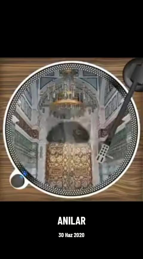 @zeliş
