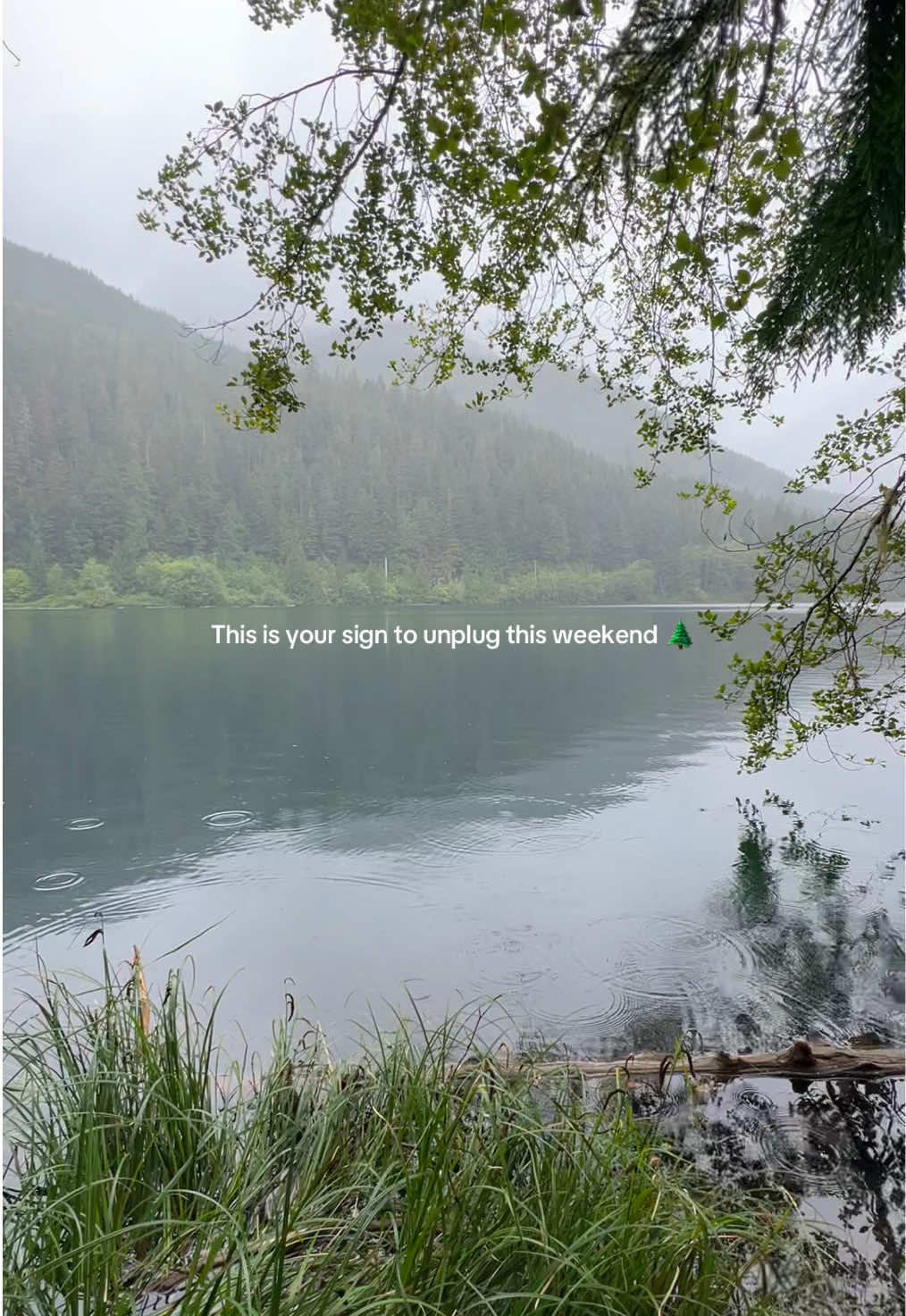 @Liv | Adventure & Travel 🌲📸