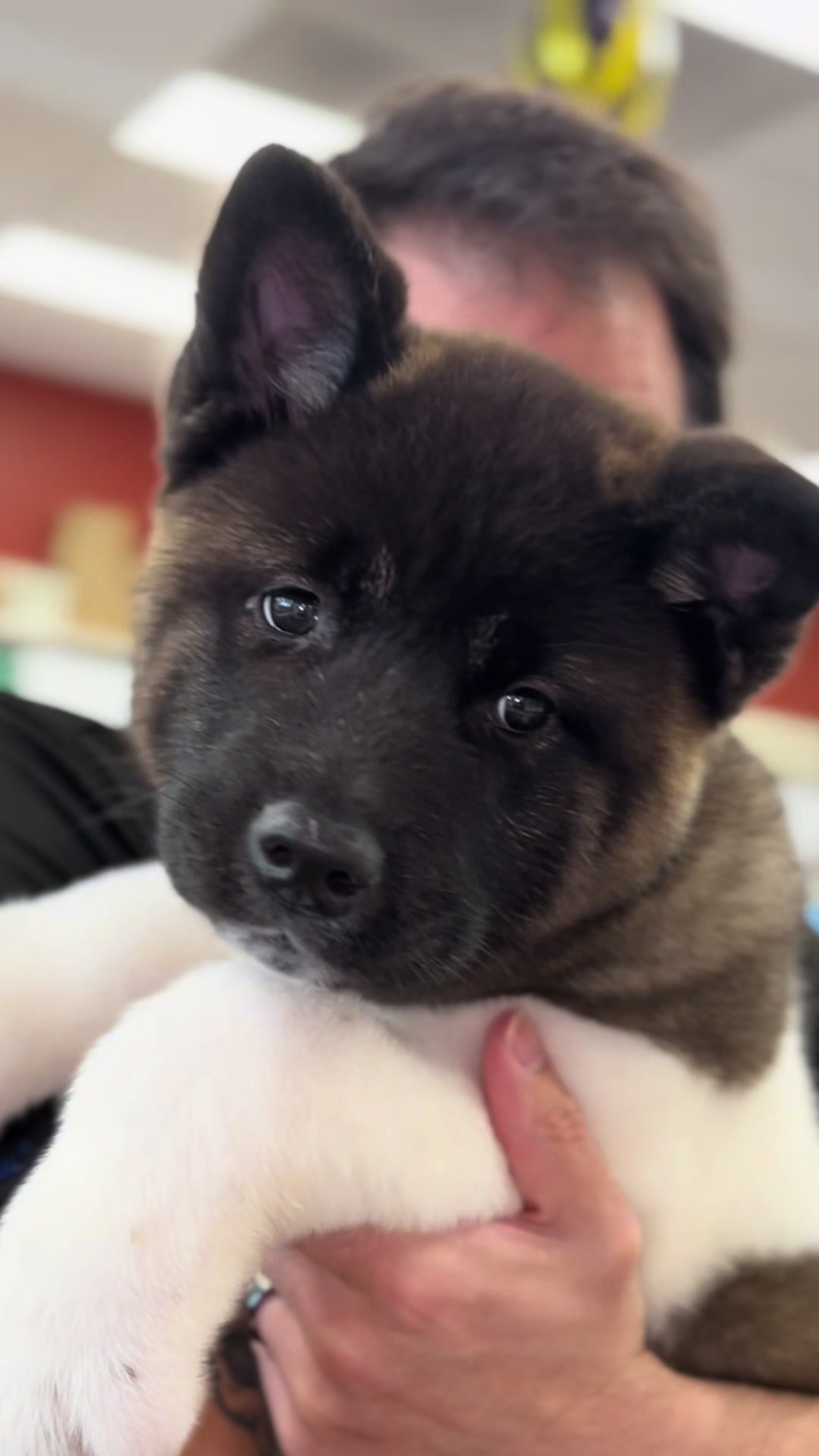 @Petland Iowa City