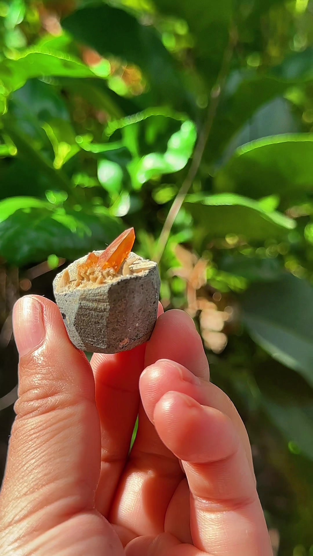 @Thích Đá Thô Nhưng Thật 🌿