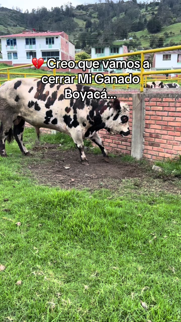 @MiGanado-Boyacá