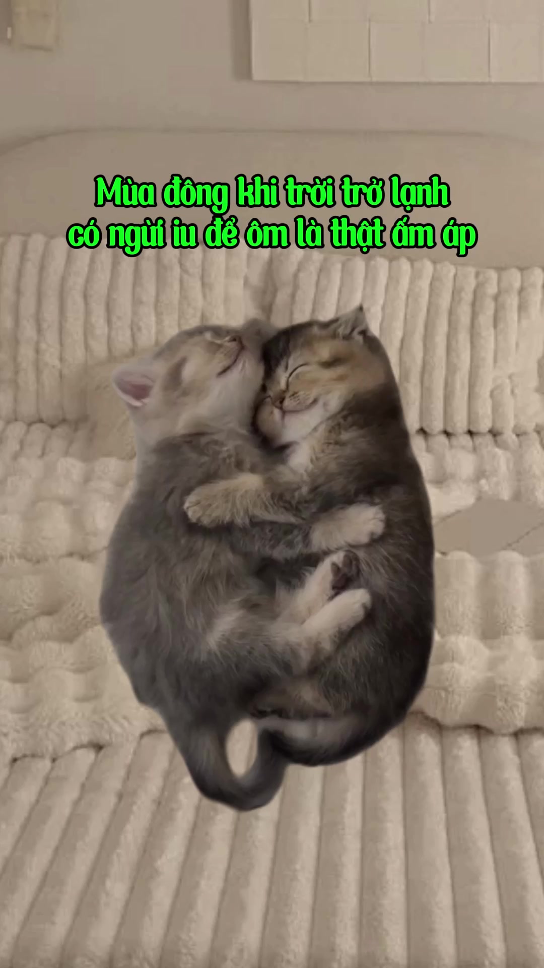 @R̫R̫8̫8̫ Thế Hệ Cợt Nhả