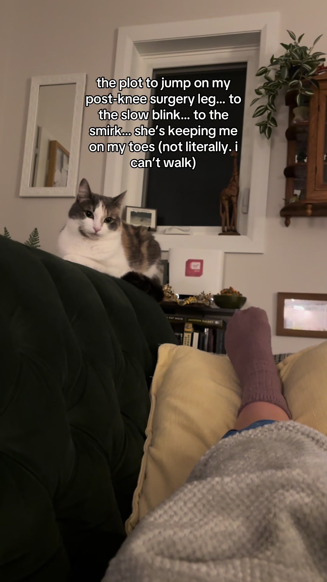 @Chester and Humans