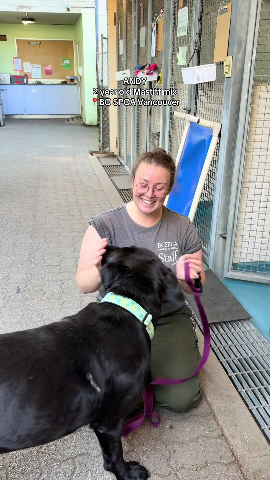 @BC SPCA