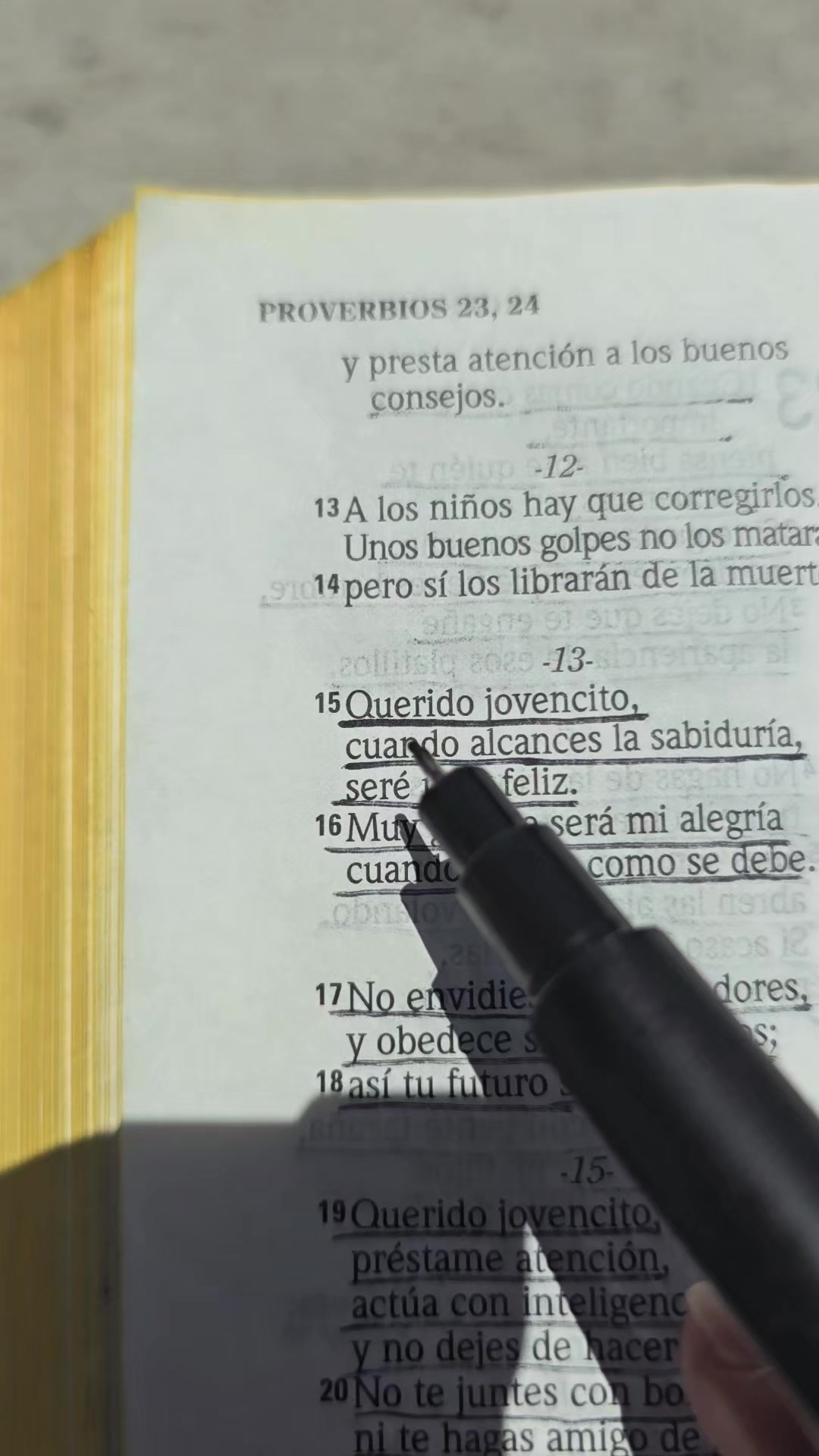 @Palabra de Dios