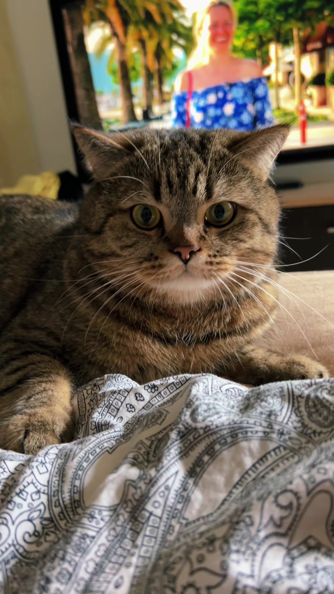 @Джоні 😻