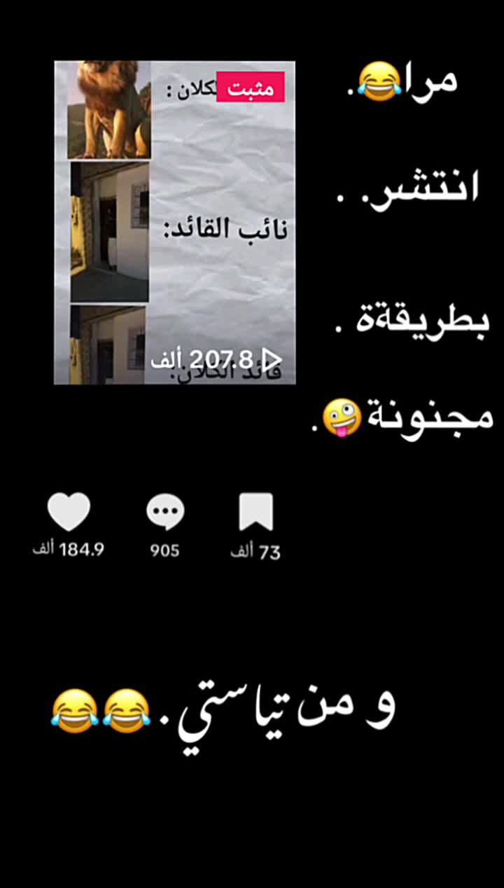 @WISTの🇩🇿