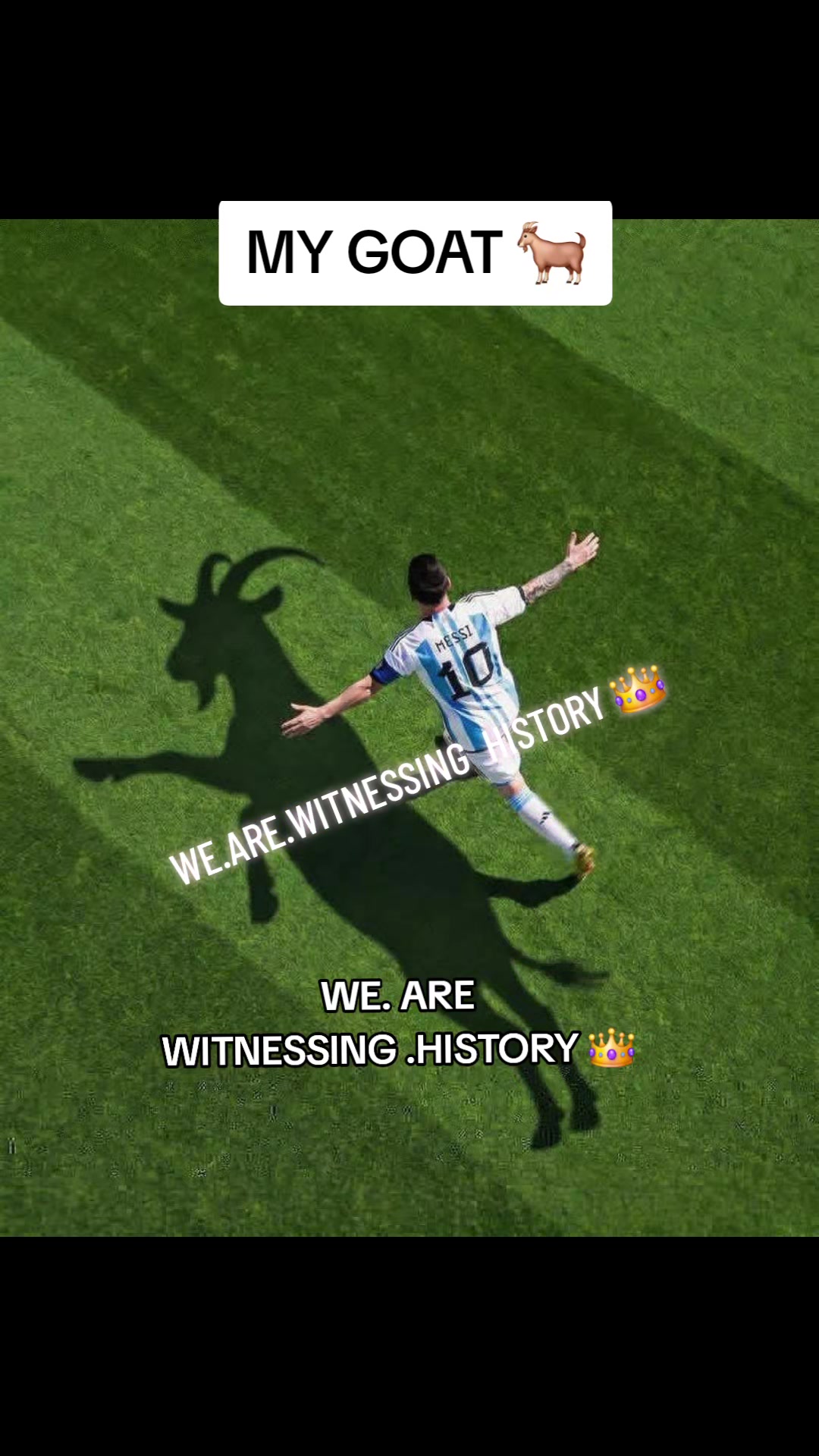 @Messi s fan⚡