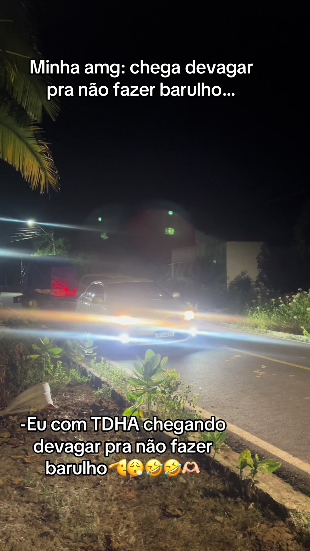 @Clarice Carvalho