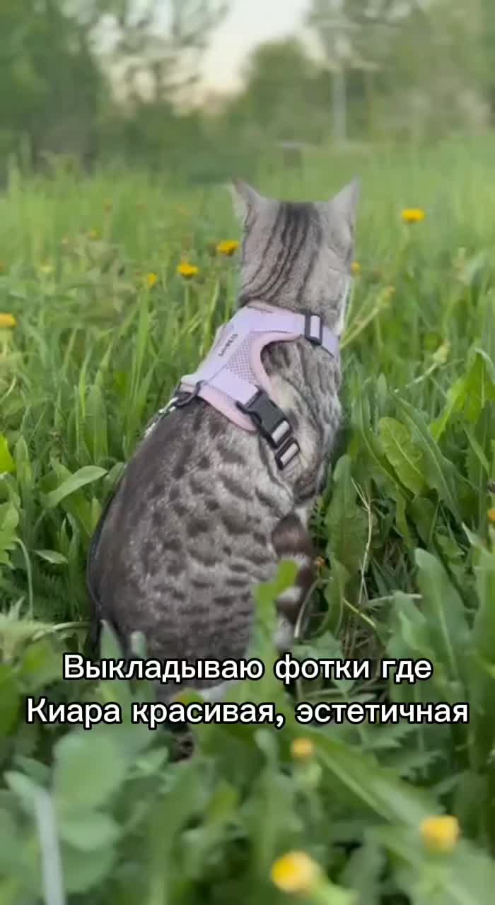 @🩸маньячка🩸