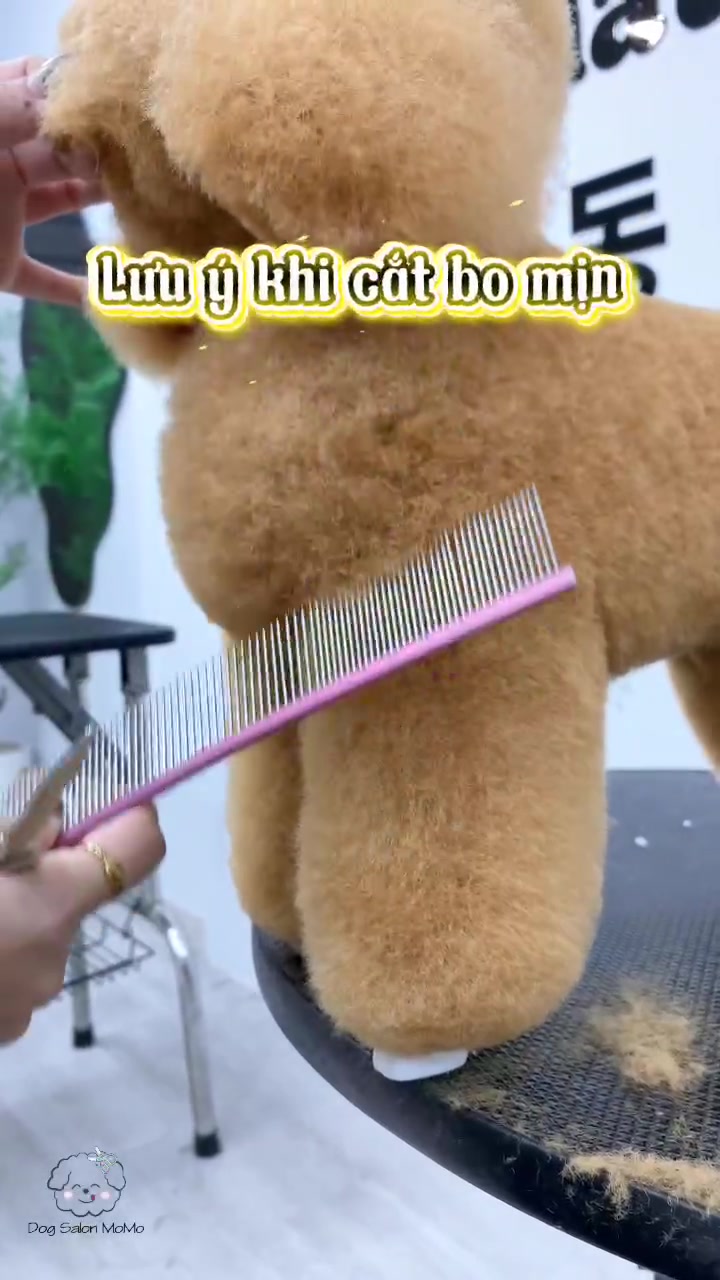 @TuongVan Petstylist