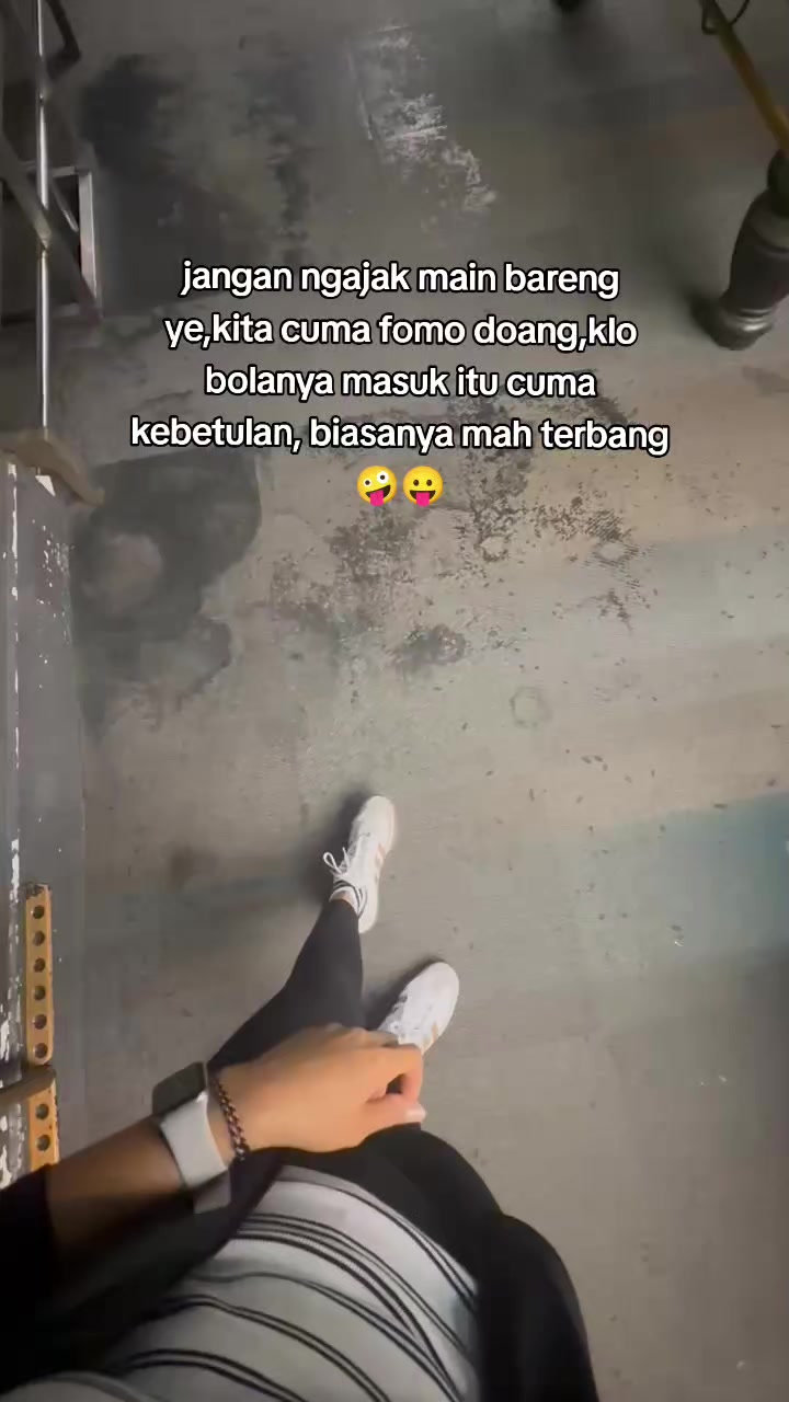 @momo🐈