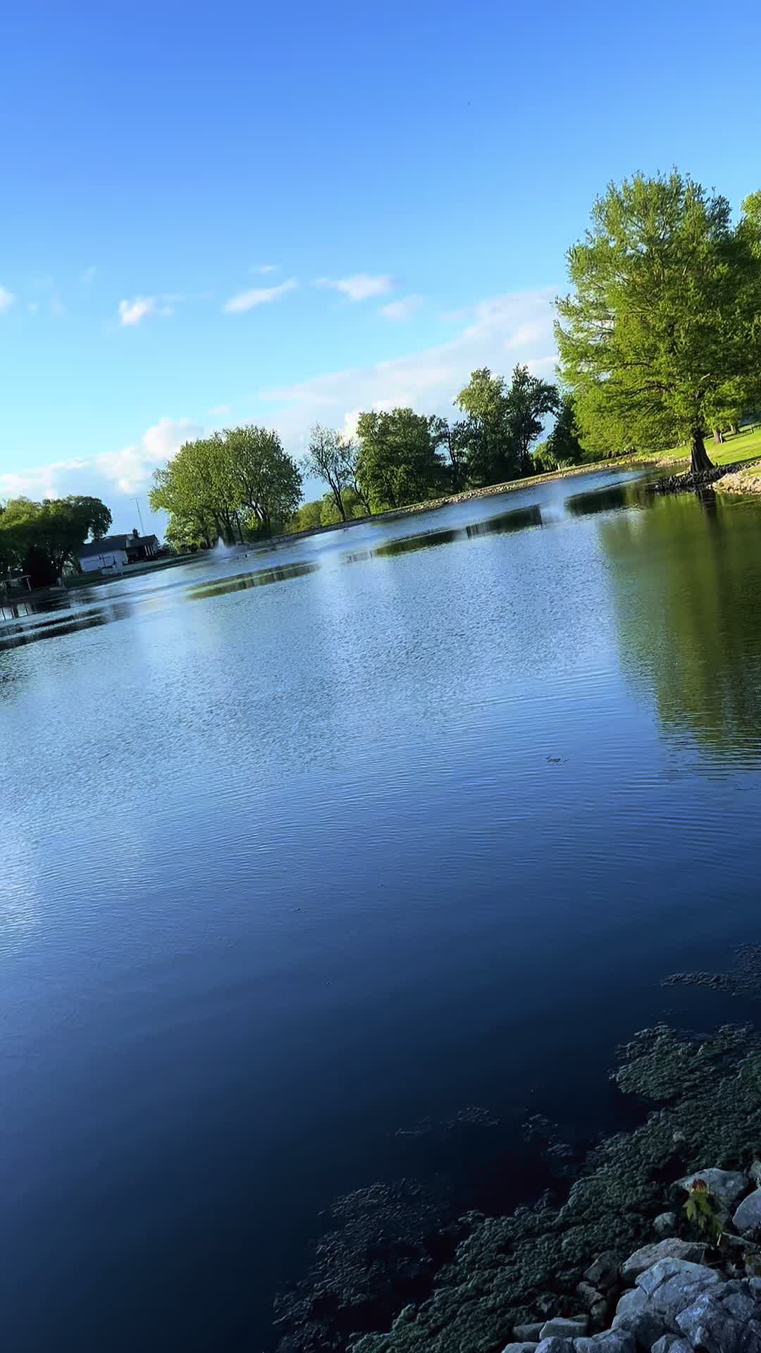 @Fish O’clock