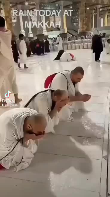@HajiTurai