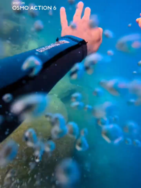 @DJI Osmo