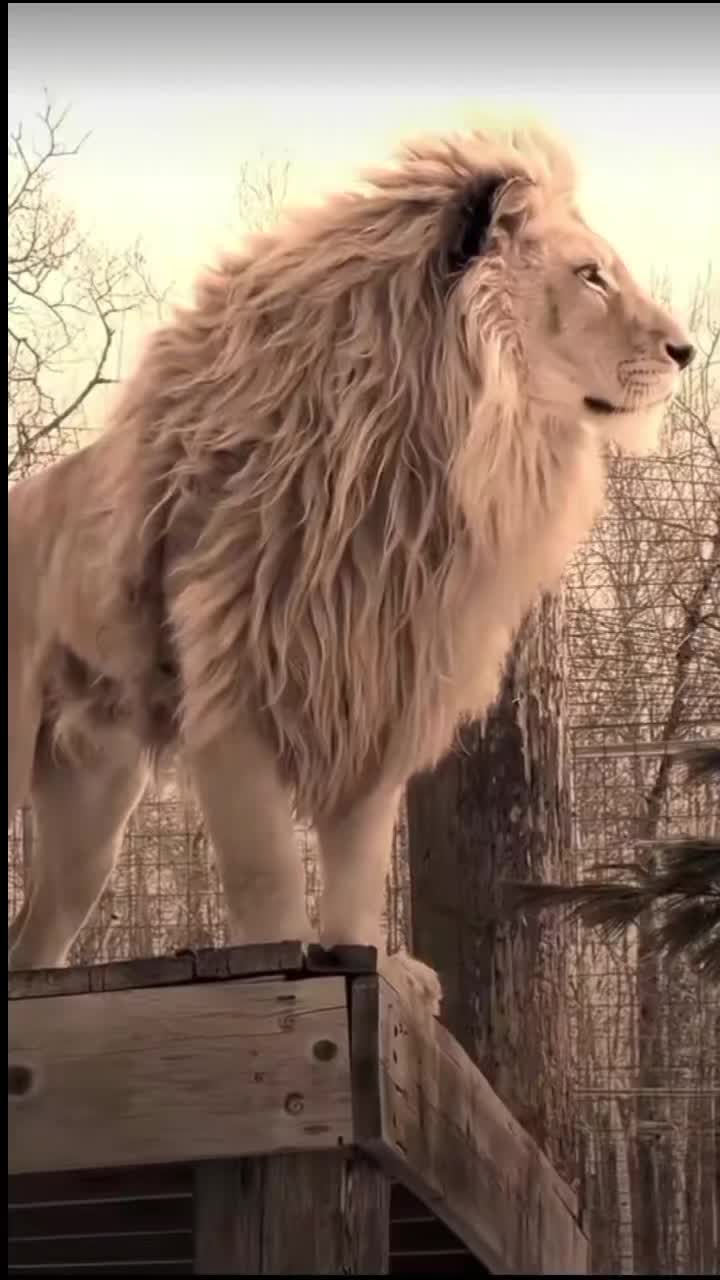 @𝕝𝕖𝕠_𝟙𝟚𝟘𝟠
