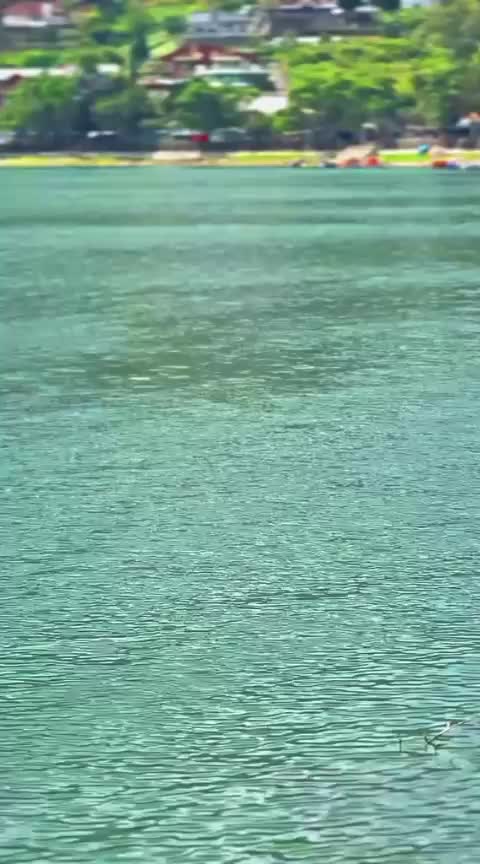 @๐ฒ๐๐๐๐๐๐๐