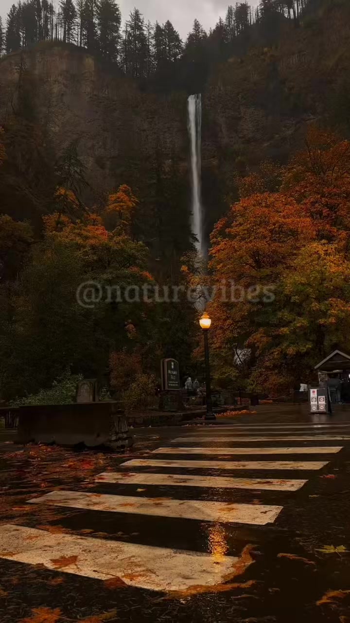 @Nature Vibes