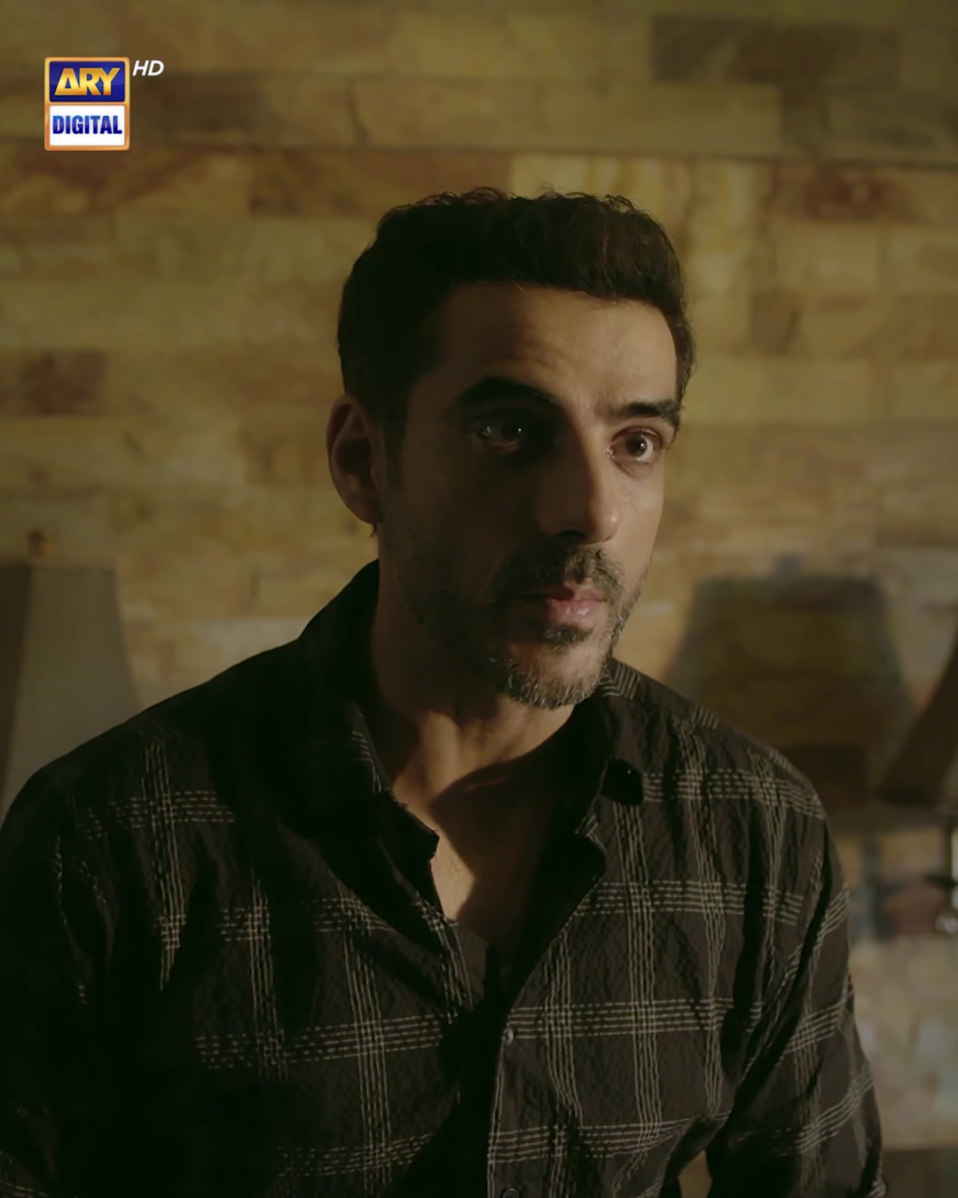 @ARY DIGITAL