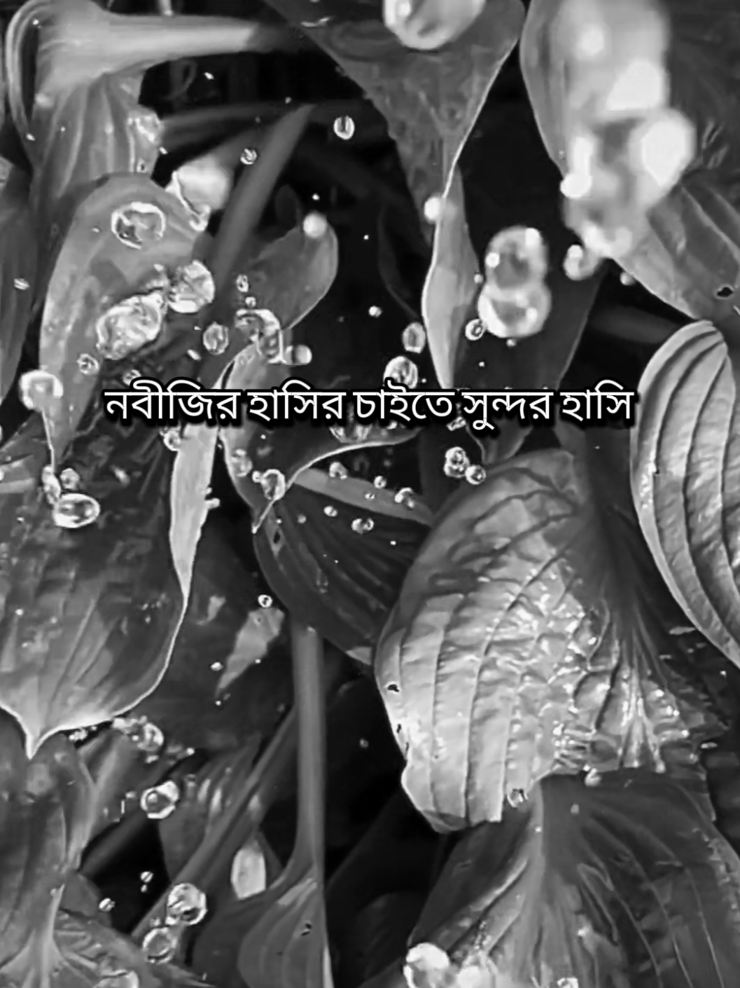 @𝑹𝒂𝒋𝒐𝒏 𝑨𝒉𝒎𝒆𝒅💫🍁
