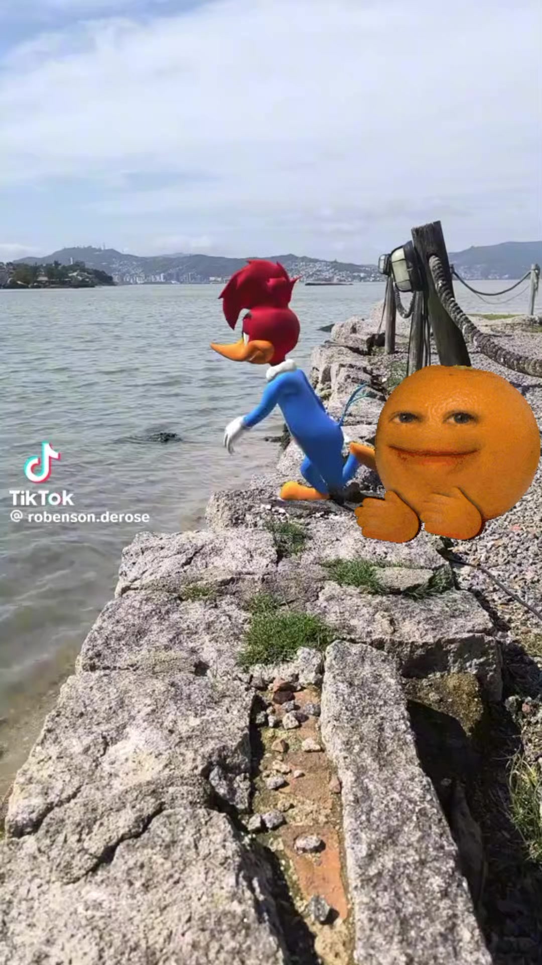 @Jos&eacute; Carlos