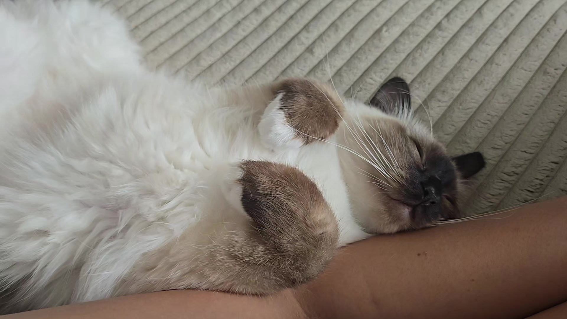 @L&eacute;o & Suki &hearts;️