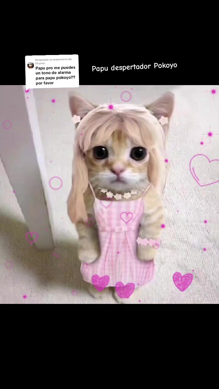 @Ivonne