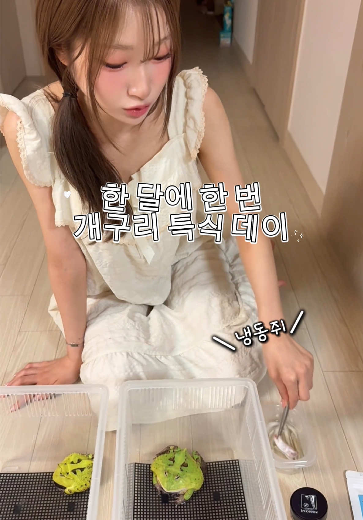 @요미센