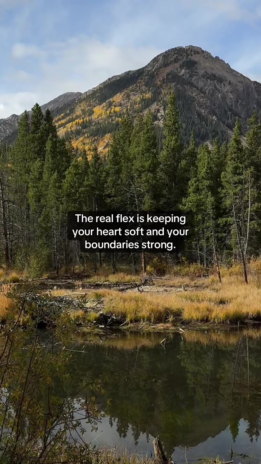 @HolisticHealingThoughts