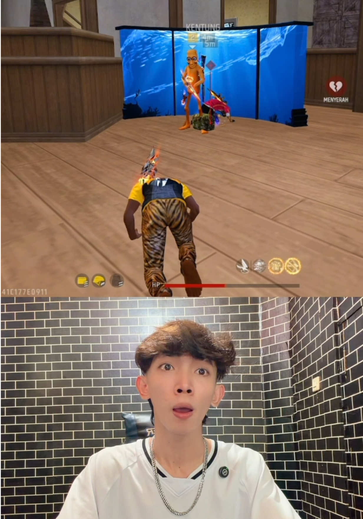 @ZARR