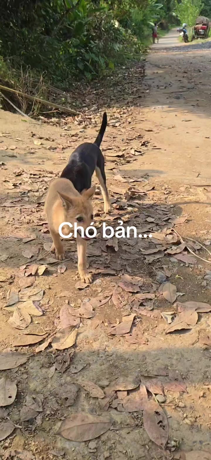 @Trai T&acirc;y Bắc 🔷️