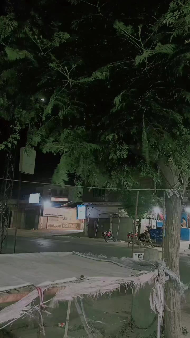@Doctor 5911