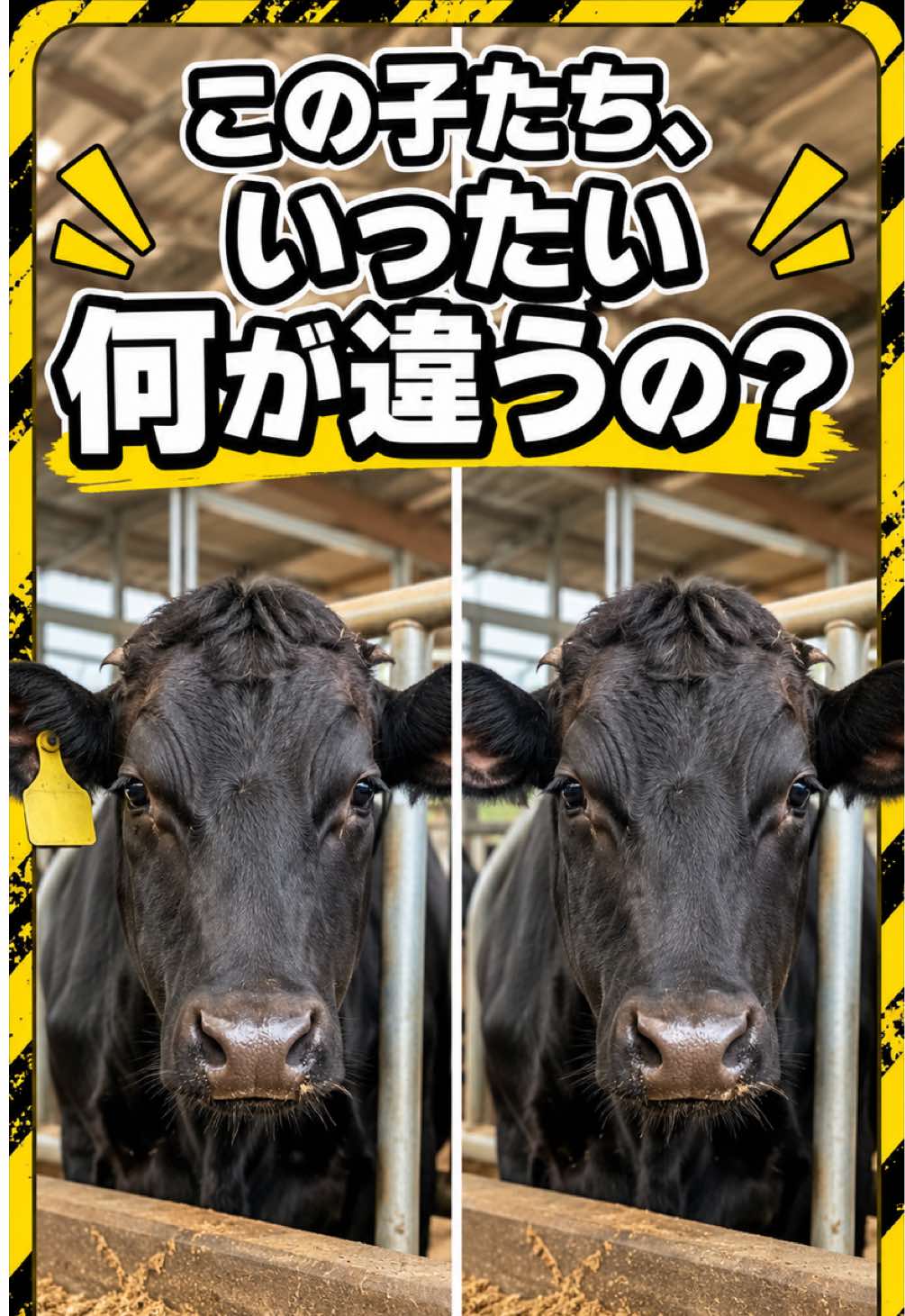 @和牛ティーチャー