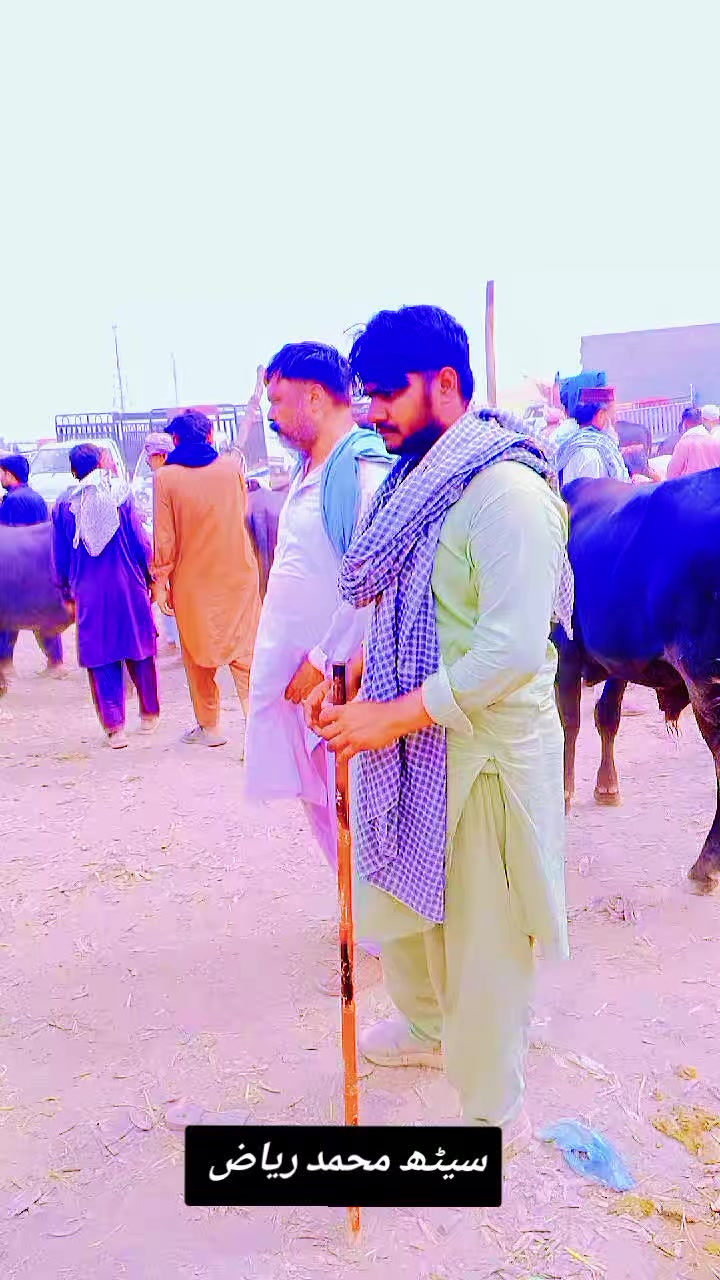 @farooqabbas517