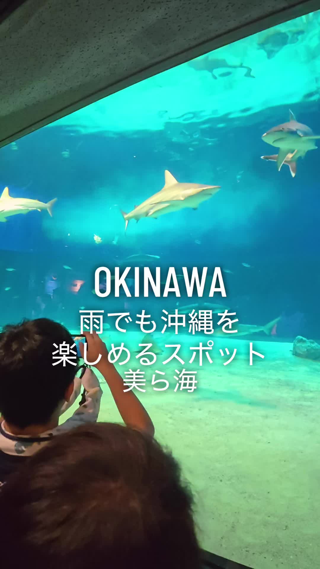 @LOCALTRIP8787