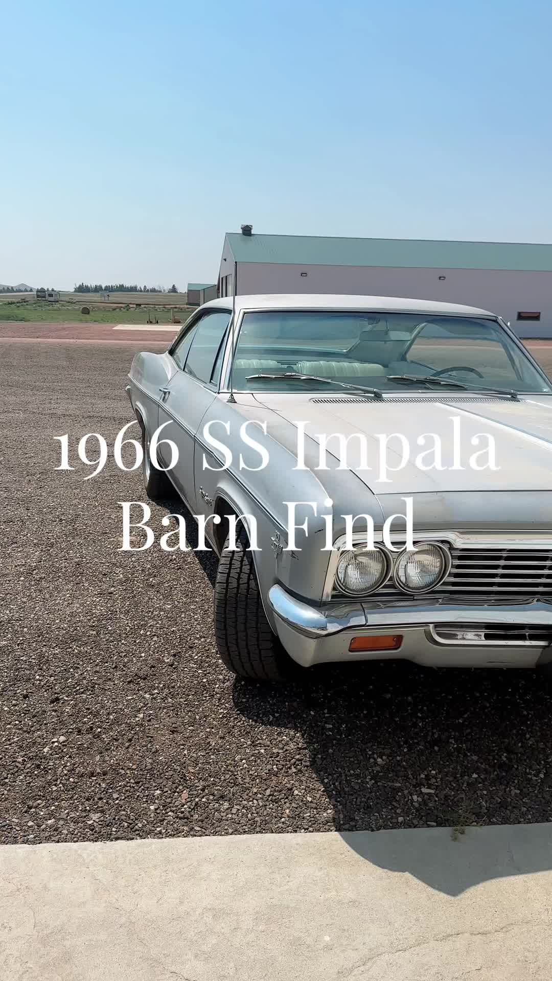 @CLASSIC CAR GIRLIE