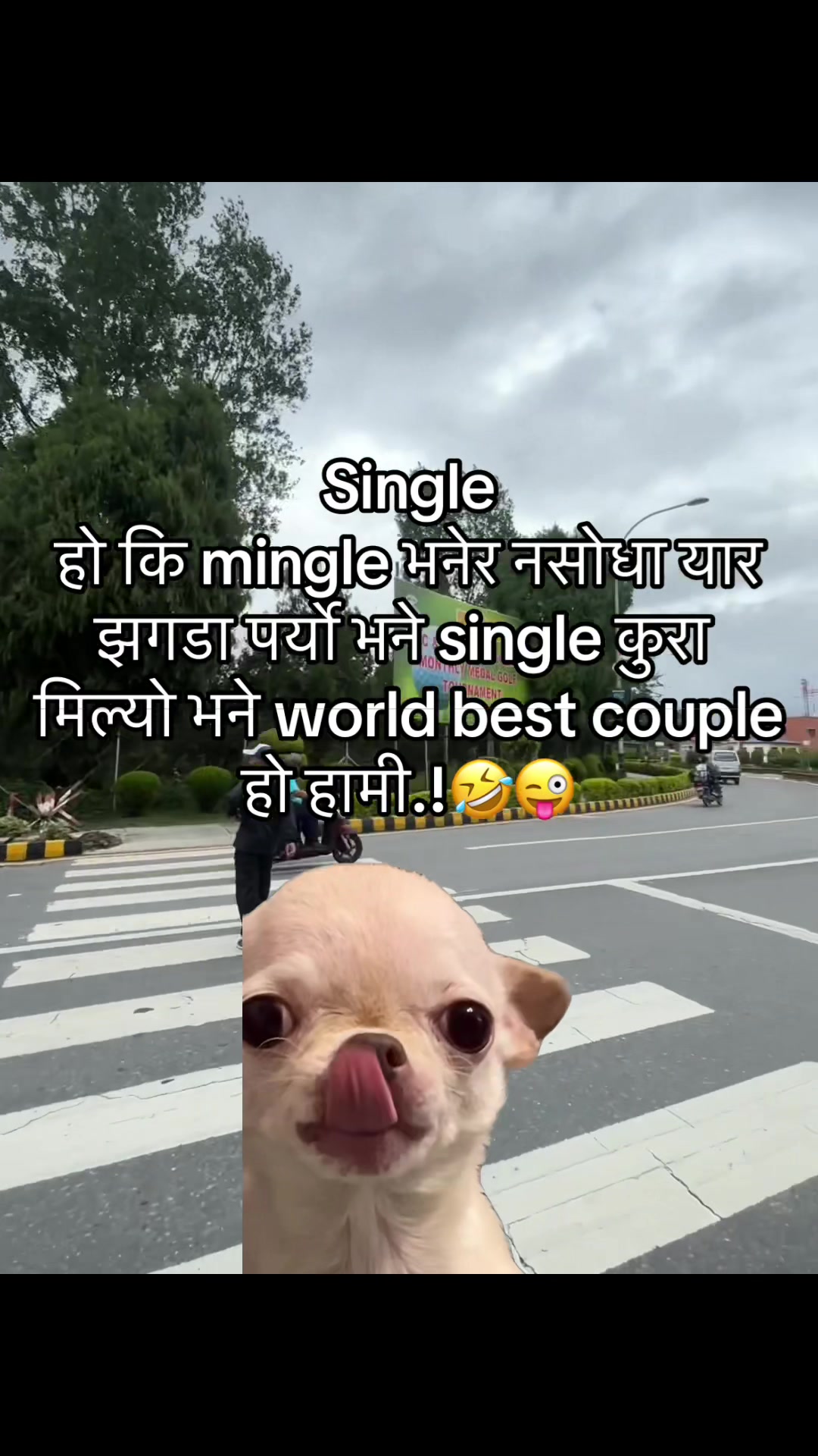 @अजय राज धामी  🇵🇹